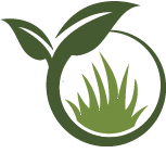 Annuals Transplanting