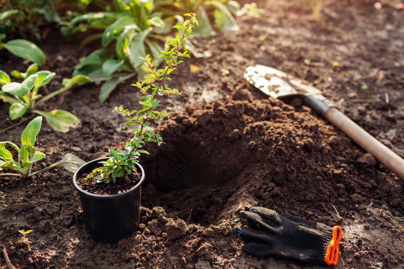 Annual Transplanting